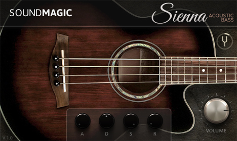 Sienna Bass - free Acoustic bass plugin
